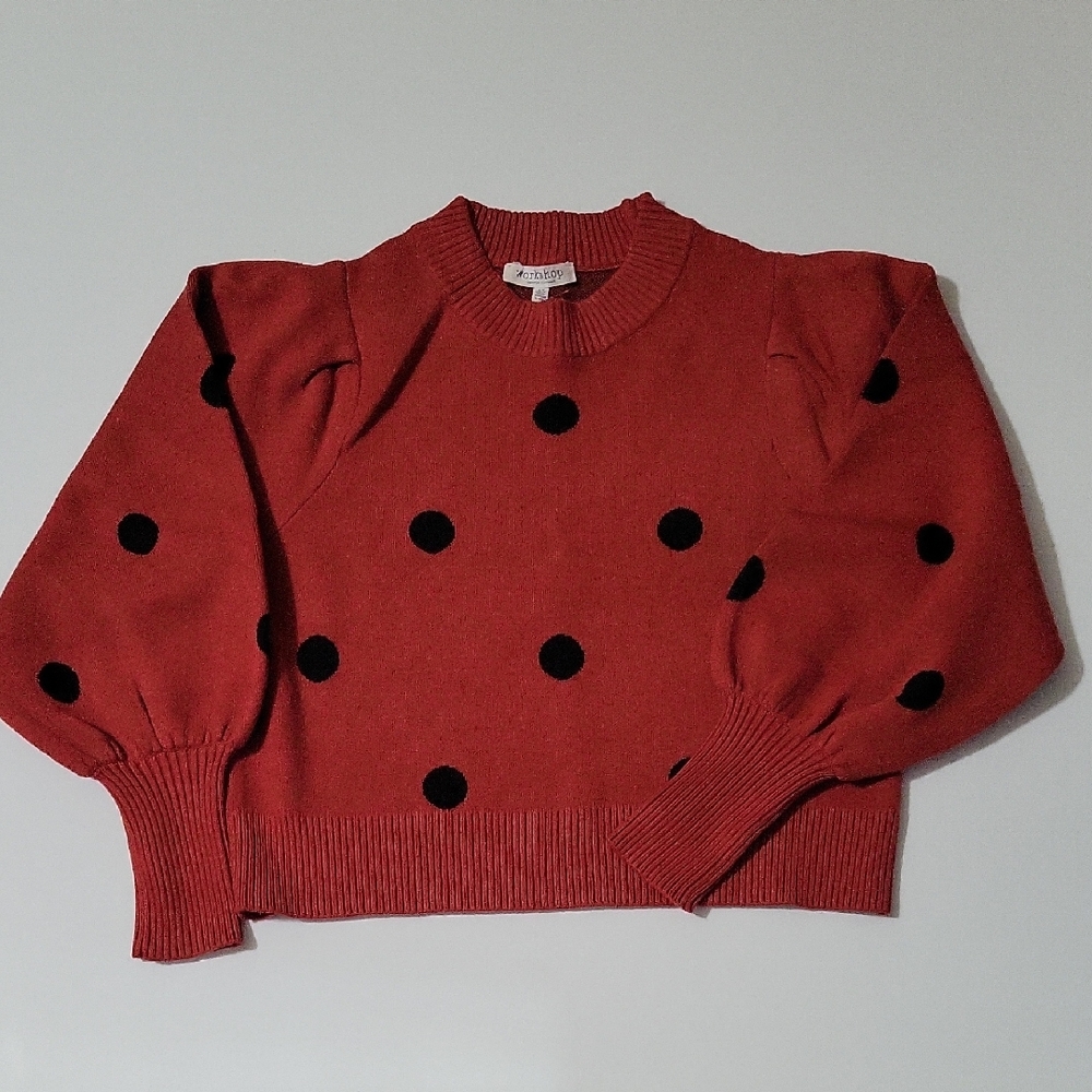 Workshop Republic Rust Sweater. Size S